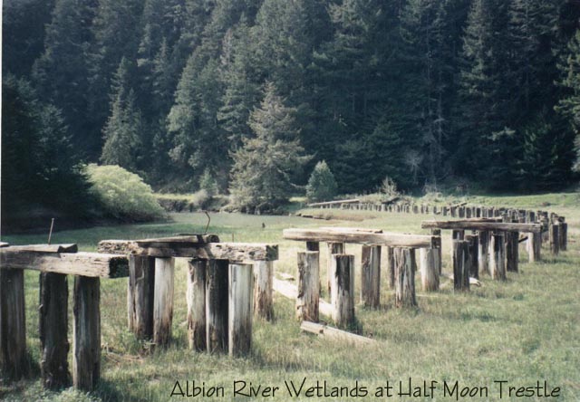 Half Moon Trestle