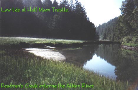 Low Tide at Half Moon Trestle
