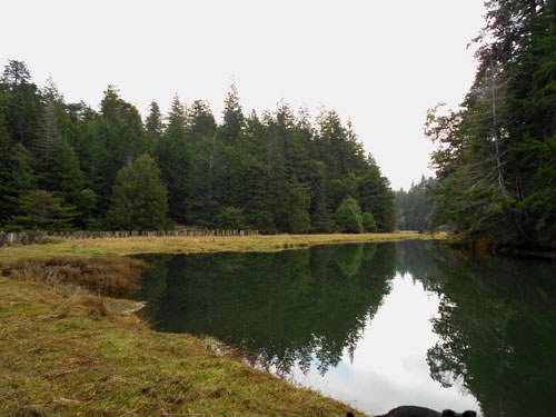 Deadman's Creek entersAlbion River