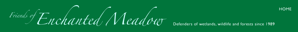 Friends of Enchanted Meadow