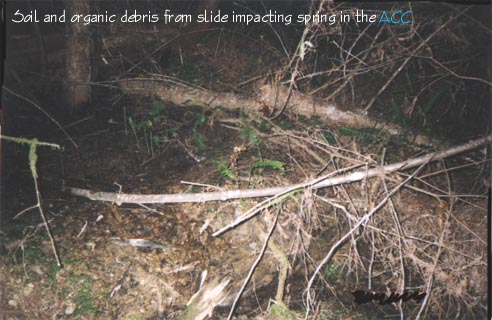 Slide Three